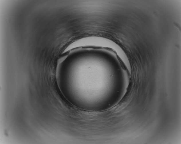 X0000096440040200801311438