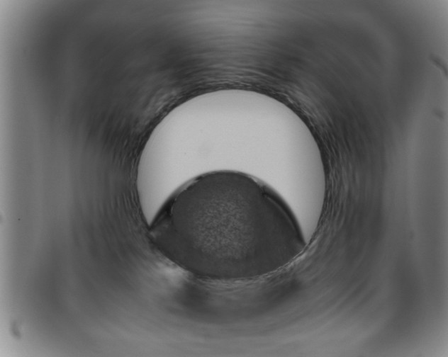 X0000096440041200801311438