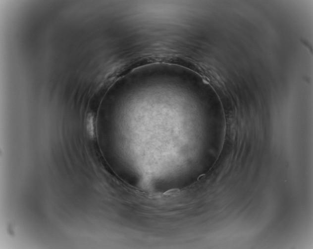 X0000096440042200801311438