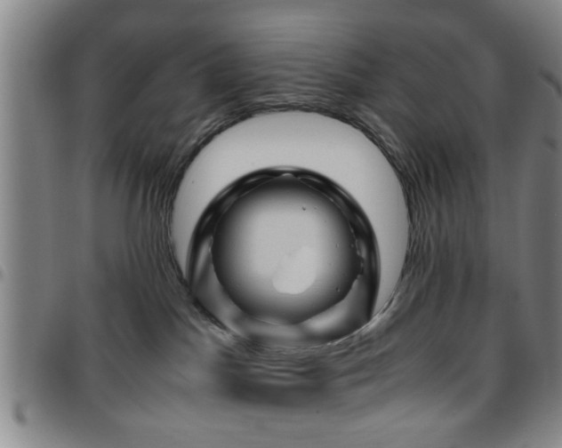 X0000096440045200801311438