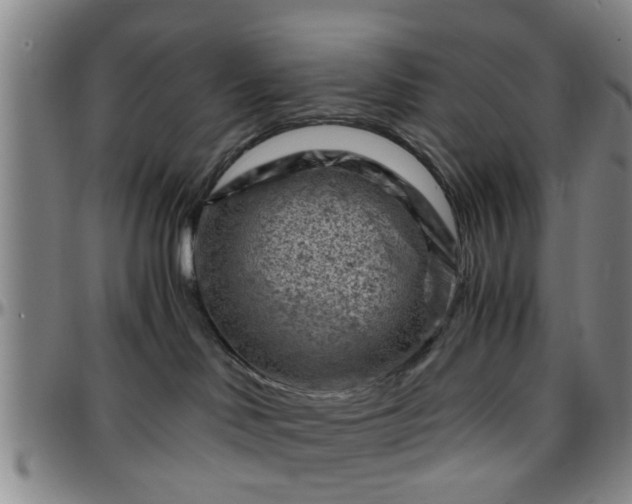 X0000096440046200801311438