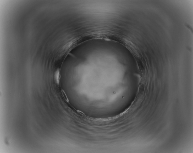 X0000096440047200801311438