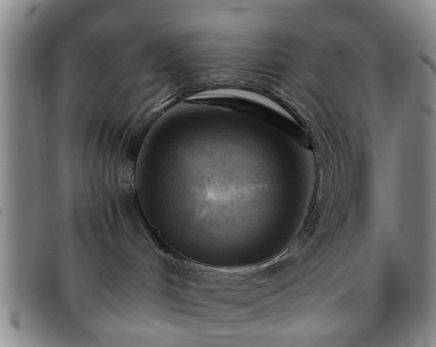 X0000096440048200801311438