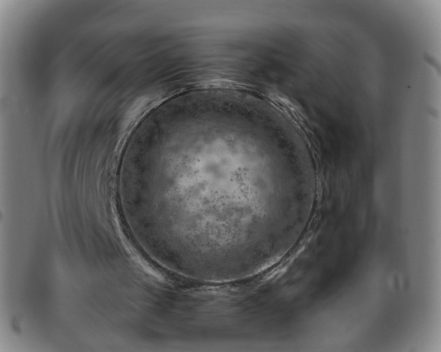 X0000096440049200801311437