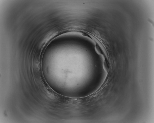 X0000096440050200801311437