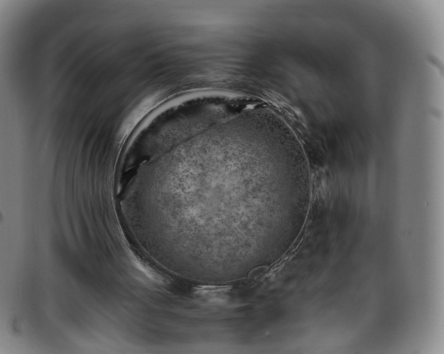 X0000096440051200801311437