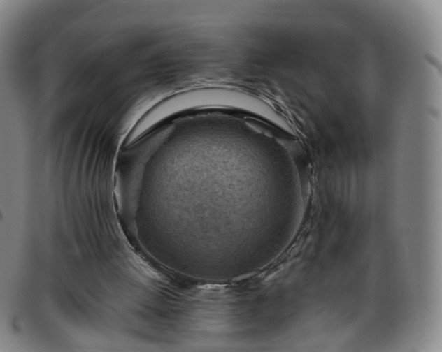 X0000096440052200801311437