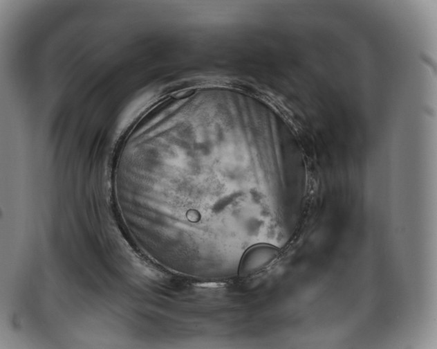 X0000096440053200801311437