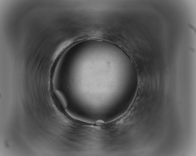 X0000096440054200801311437