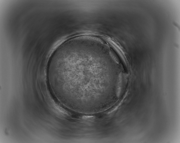 X0000096440055200801311437