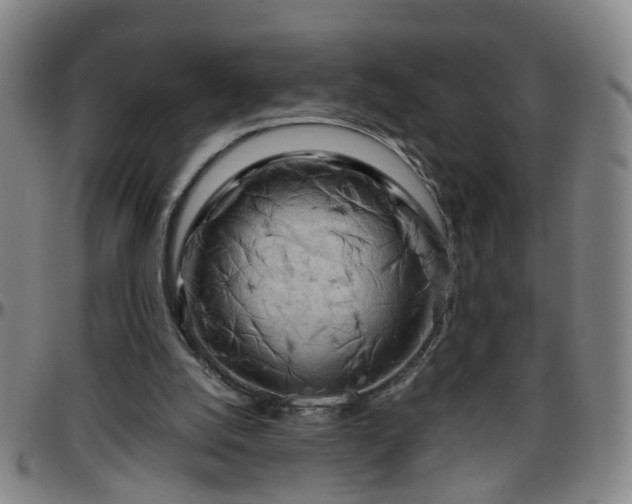 X0000096440056200801311437