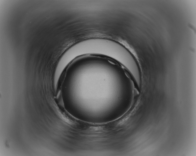 X0000096440057200801311437