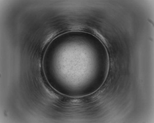 X0000096440059200801311437