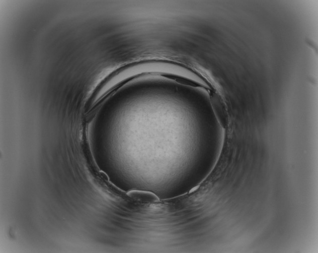 X0000096440060200801311437