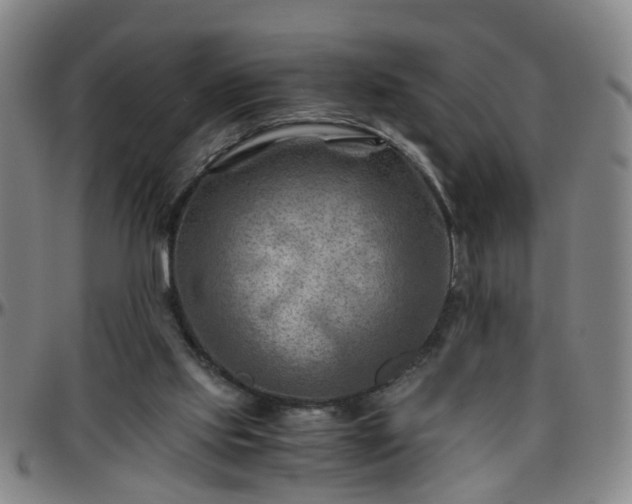 X0000096440061200801311438