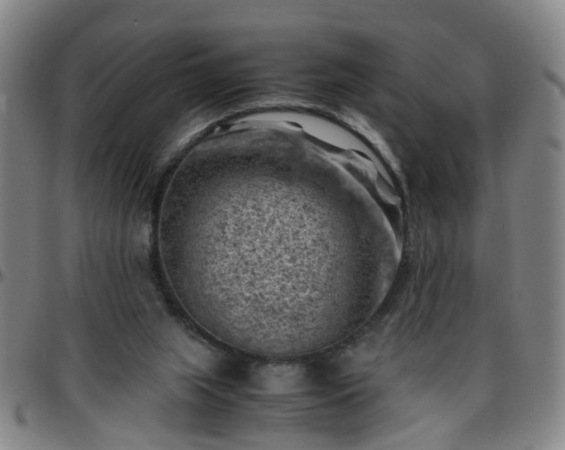 X0000096440063200801311438