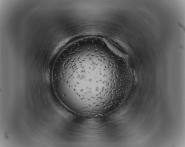 X0000096440064200801311438