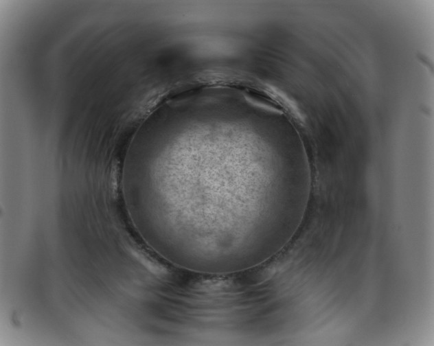 X0000096440065200801311438