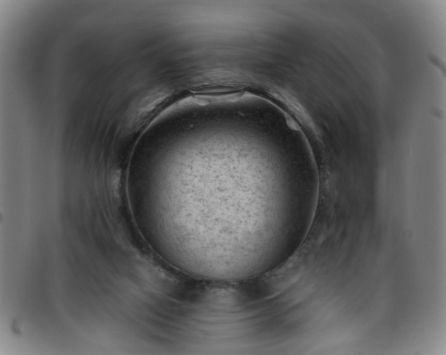 X0000096440066200801311438