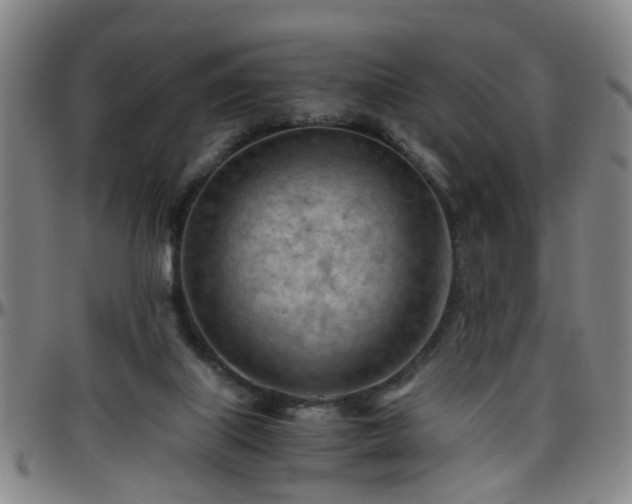 X0000096440067200801311438