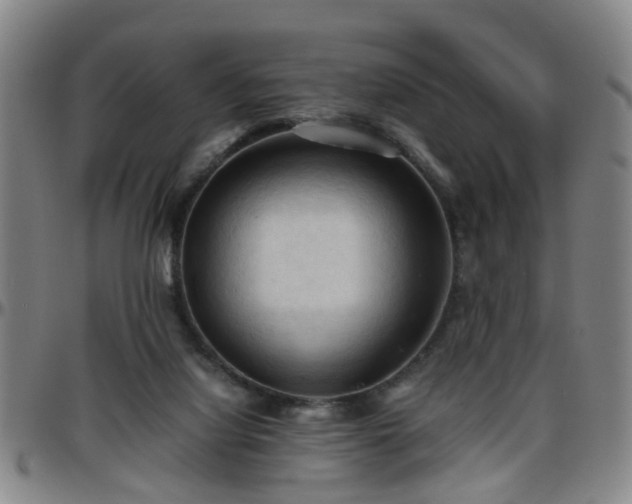 X0000096440068200801311438