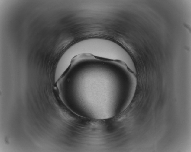 X0000096440070200801311438