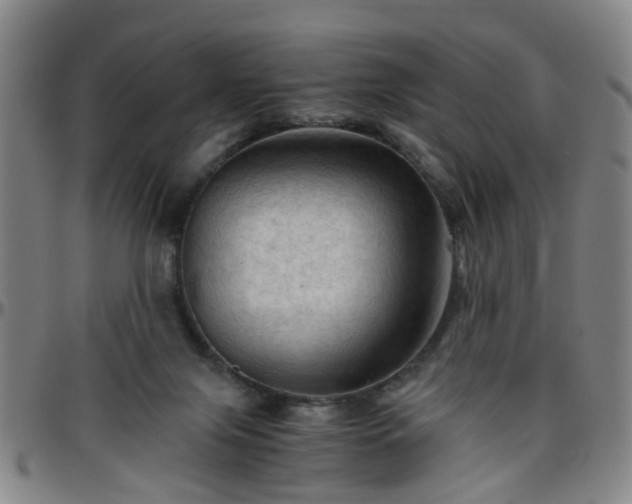 X0000096440071200801311438