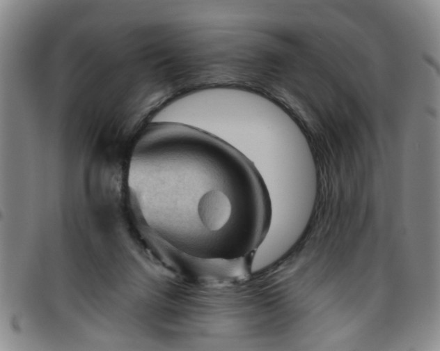 X0000096440072200801311438