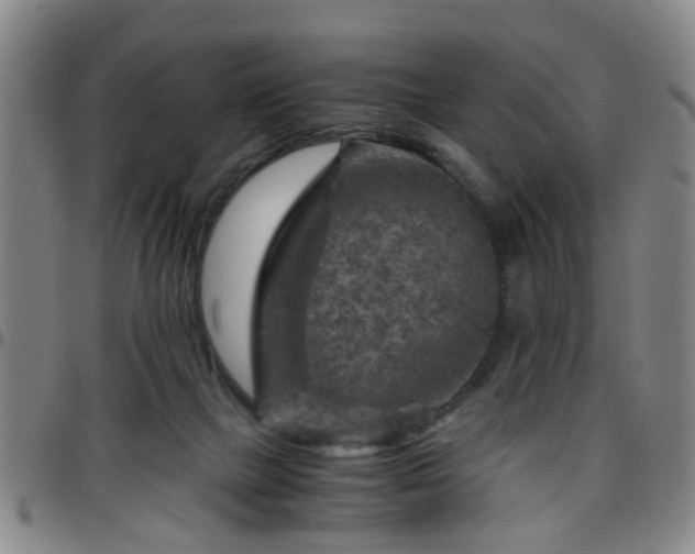 X0000096440073200801311438