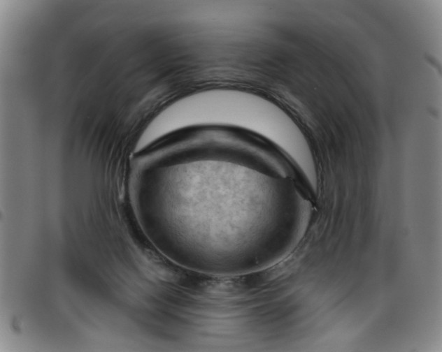 X0000096440074200801311438