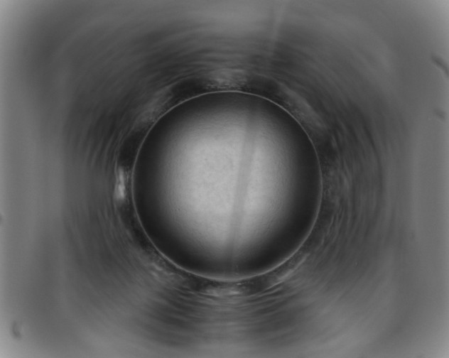 X0000096440075200801311438