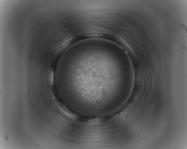 X0000096440076200801311438