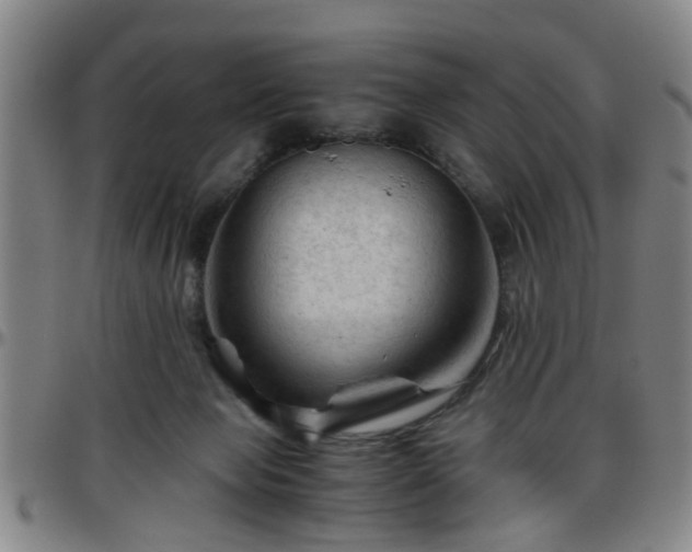 X0000096440077200801311438