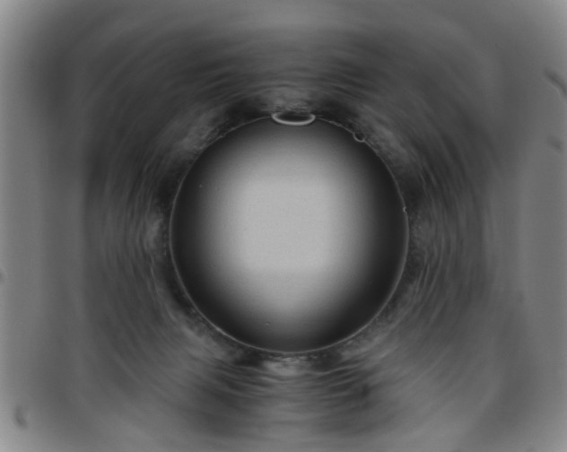 X0000096440079200801311438