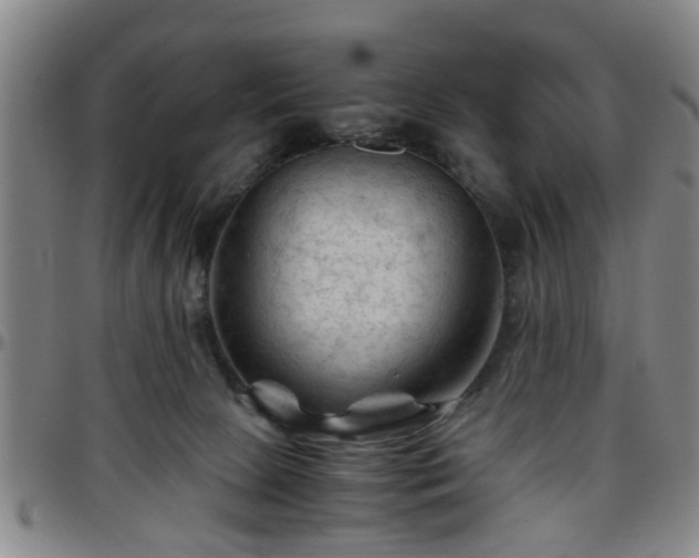 X0000096440081200801311438