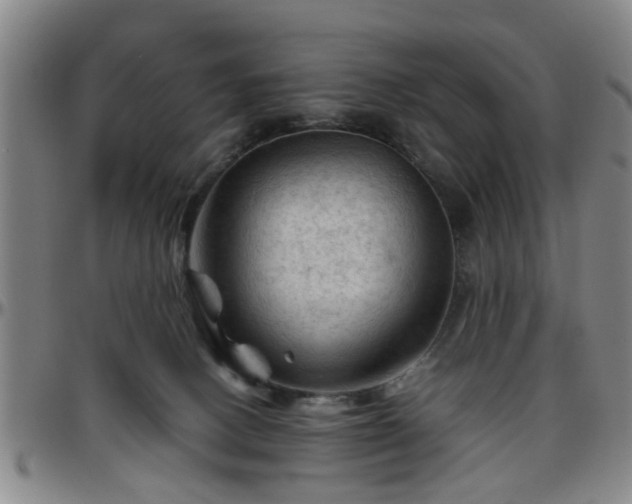 X0000096440082200801311438