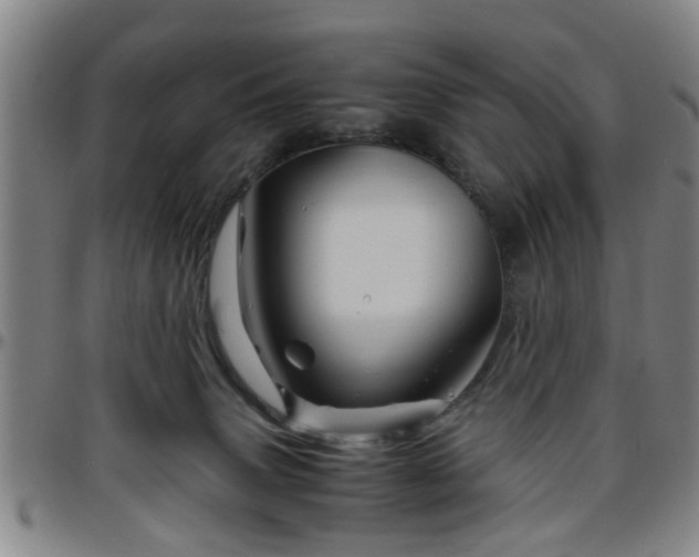 X0000096440083200801311438