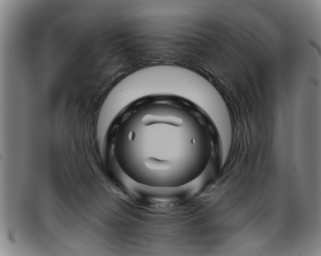 X0000096440084200801311438