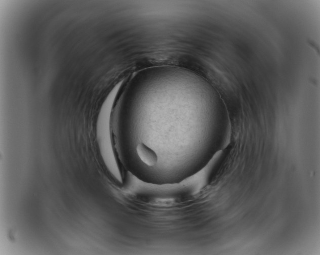 X0000096440085200801311438