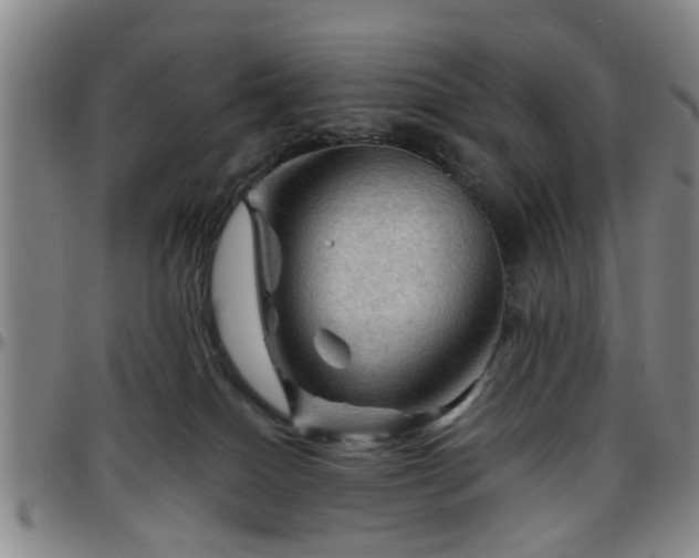 X0000096440086200801311438