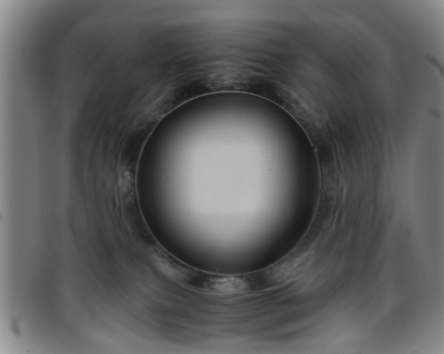 X0000096440087200801311438