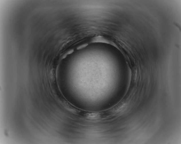 X0000096440088200801311438