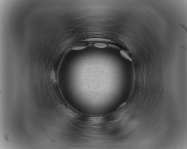 X0000096440089200801311438