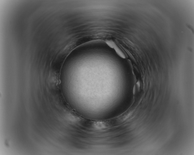 X0000096440091200801311438