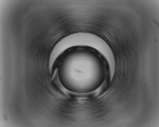 X0000096440092200801311438