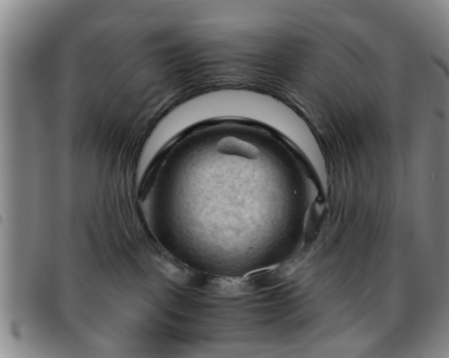 X0000096440093200801311438