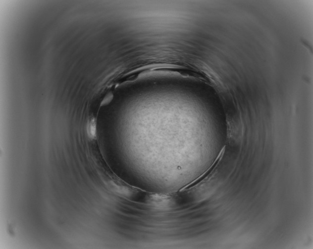 X0000096440095200801311438