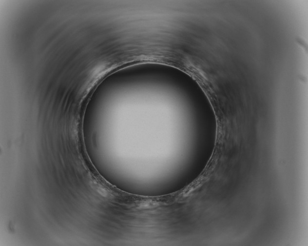 X0000096440098200801311437