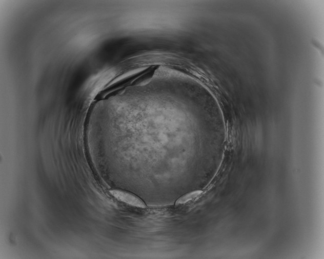 X0000096440099200801311437