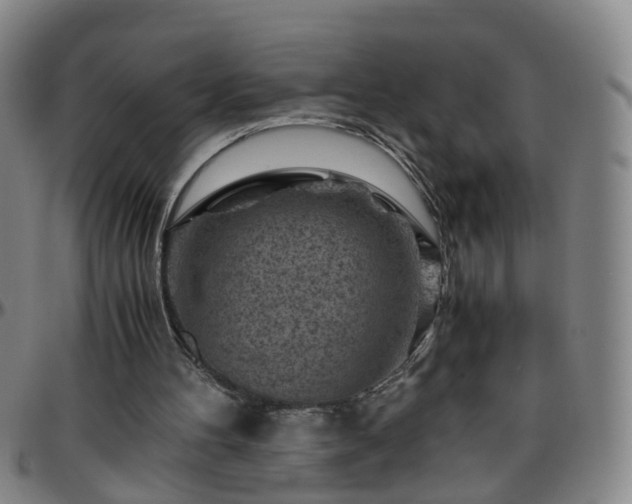 X0000096440100200801311437